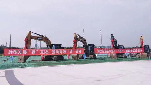 吸引企業(yè)紛紛飛回上海，金山這家園區(qū)有何奧秘——財(cái)務(wù)咨詢(xún)助力企業(yè)騰飛